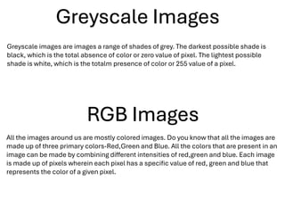 Computer Vision Grayscale Class X Skill Education Computer Vision PPT.pdf