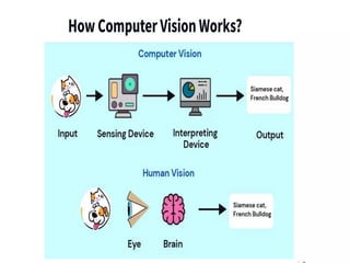 Class X Skill Education Computer Vision PPT.pdf