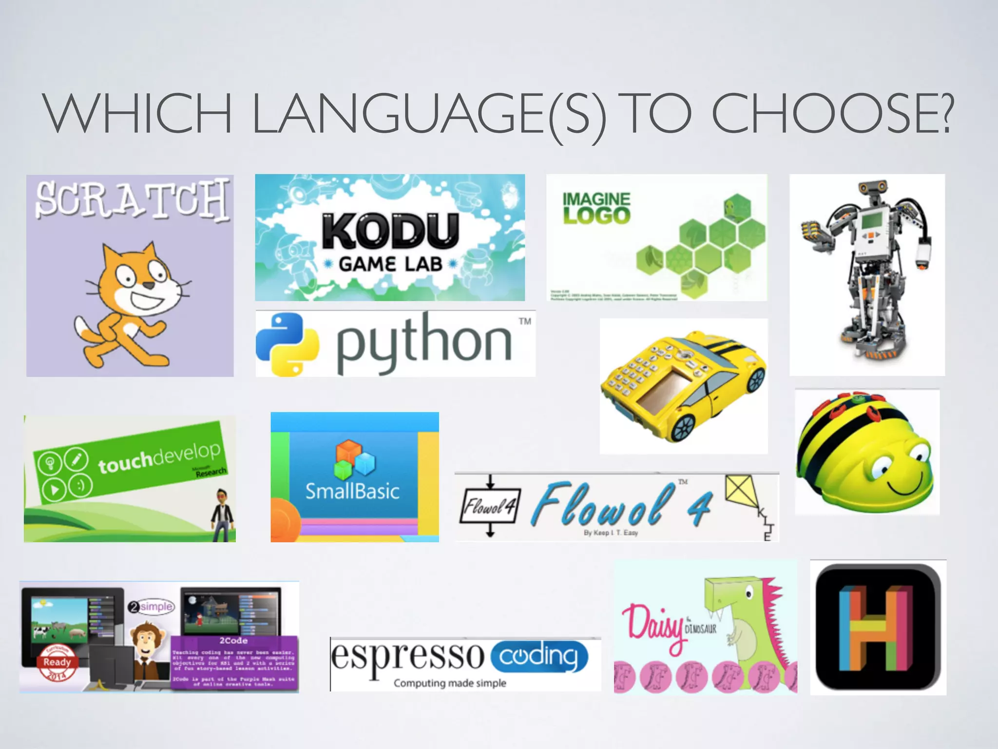 WHICH LANGUAGE(S)TO CHOOSE?
 