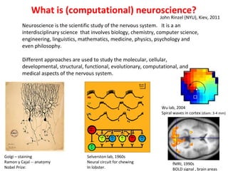 What is (computational) neuroscience? Neuroscience is the scientific study of the nervous system.  It is a an interdisciplinary science  that involves biology, chemistry, computer science, engineering, linguistics, mathematics, medicine, physics, psychology and even philosophy.  Different approaches are used to study the molecular, cellular, developmental, structural, functional, evolutionary, computational, and medical aspects of the nervous system.  Golgi – staining Ramon y Cajal -- anatomy Nobel Prize:  Selverston lab, 1960s Neural circuit for chewing In lobster. Wu lab, 2004 Spiral waves in cortex  (diam: 3-4 mm) fMRI, 1990s BOLD signal , brain areas John Rinzel (NYU), Kiev, 2011 