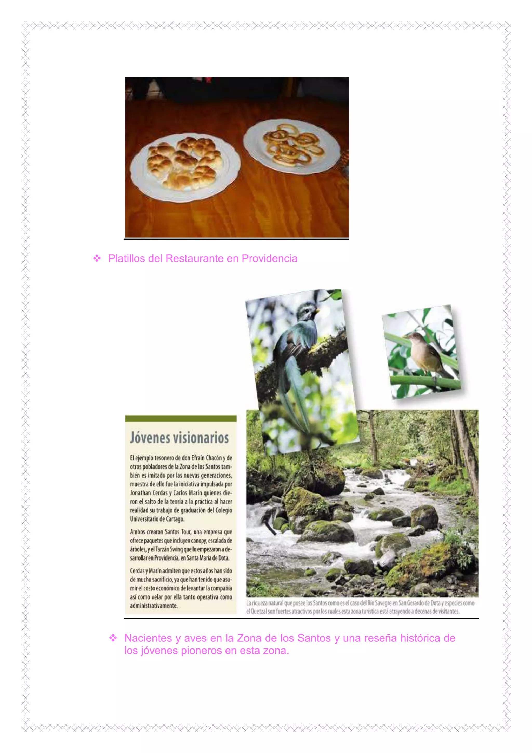  Platillos del Restaurante en Providencia




    Nacientes y aves en la Zona de los Santos y una reseña histórica de
     los jóvenes pioneros en esta zona.
 