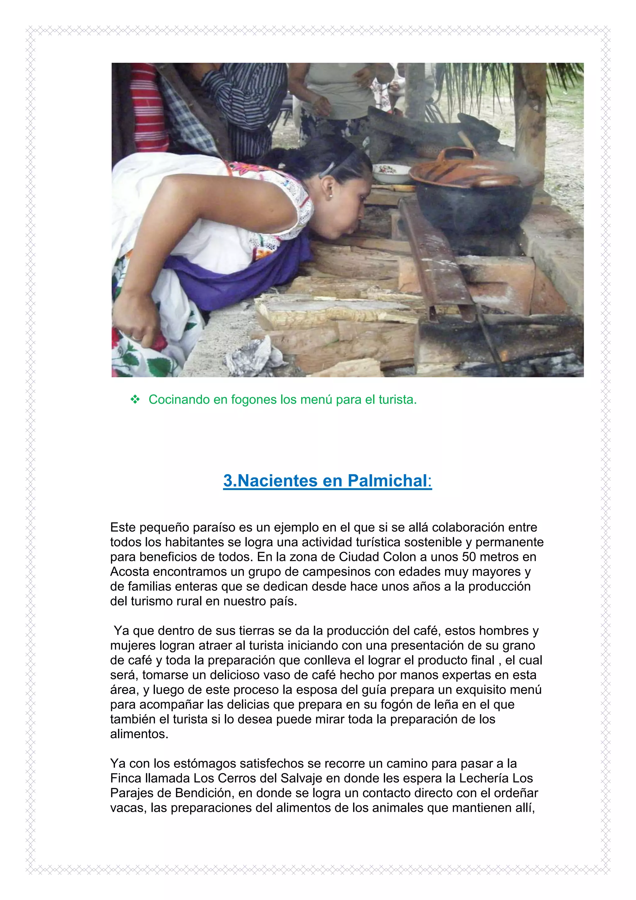  Cocinando en fogones los menú para el turista.




                    3.Nacientes en Palmichal:

Este pequeño paraíso es un ejemplo en el que si se allá colaboración entre
todos los habitantes se logra una actividad turística sostenible y permanente
para beneficios de todos. En la zona de Ciudad Colon a unos 50 metros en
Acosta encontramos un grupo de campesinos con edades muy mayores y
de familias enteras que se dedican desde hace unos años a la producción
del turismo rural en nuestro país.

 Ya que dentro de sus tierras se da la producción del café, estos hombres y
mujeres logran atraer al turista iniciando con una presentación de su grano
de café y toda la preparación que conlleva el lograr el producto final , el cual
será, tomarse un delicioso vaso de café hecho por manos expertas en esta
área, y luego de este proceso la esposa del guía prepara un exquisito menú
para acompañar las delicias que prepara en su fogón de leña en el que
también el turista si lo desea puede mirar toda la preparación de los
alimentos.

Ya con los estómagos satisfechos se recorre un camino para pasar a la
Finca llamada Los Cerros del Salvaje en donde les espera la Lechería Los
Parajes de Bendición, en donde se logra un contacto directo con el ordeñar
vacas, las preparaciones del alimentos de los animales que mantienen allí,
 