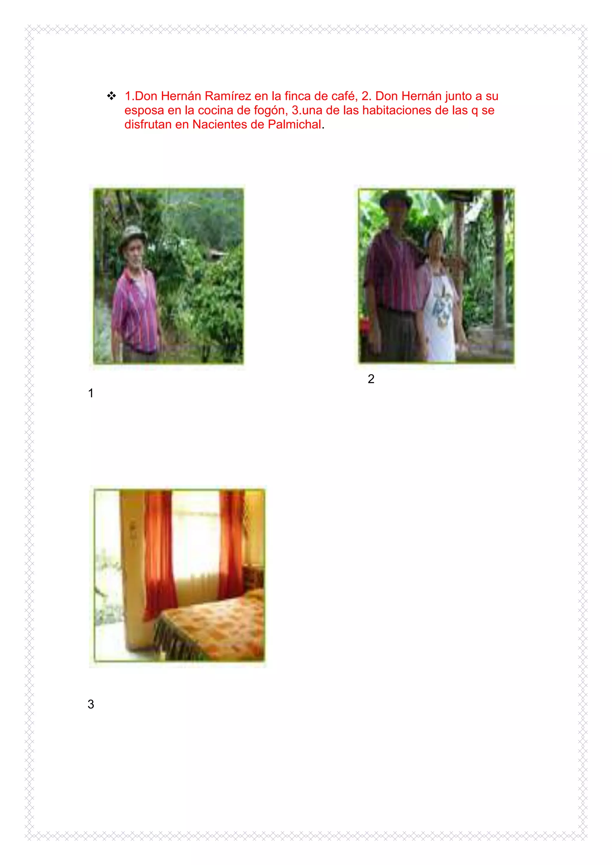  1.Don Hernán Ramírez en la finca de café, 2. Don Hernán junto a su
      esposa en la cocina de fogón, 3.una de las habitaciones de las q se
      disfrutan en Nacientes de Palmichal.




                                                  2
1




3
 
