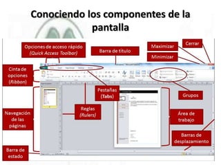 Conociendo los componentes de la
pantalla
 