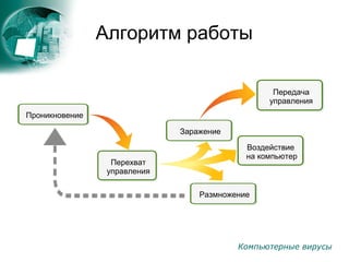 Компьютерные вирусы
Алгоритм работы
Проникновение
Перехват
управления
Заражение
Воздействие
на компьютер
Размножение
Передача
управления
 