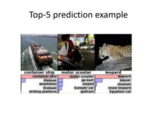 Top-5 prediction example
 