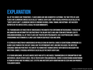 EXPLANATION 
All of the choices are trematodes / flukes which are non-segmented flatforms. The two types of liver 
flukes are Clonorchis sinesis (also called "Chinese liver fluke") and Fasciola hepatica (also called the 
"sheep liver fluke"). Clonorchis sinesis is endemic in Korea, China, Taiwan, and Vietnam - but has been 
reported in the United States, usually in Asian immigrants. 
The transmission is by ingestion of undercooked freshwater fish containing metacercariae. It results in 
inflammation and intermittent obstruction of the biliary ducts and long-term infection may lead to 
cholangiocarcinoma. All of these flukes are treated with praziquantel (see exception below). Choice A 
(Paragonimus westermani) is a lung fluke found in southeast Asia and Japan. 
It is spread by ingestion of undercooked or pickled crab or crayfish. Choice B (Schistosoma japonicum) is a 
blood fluke found in the Far East. Snails are the intermediate host, and once released, the infective 
cercariae swim and penetrate the skin of the human host (human contact with water is necessary for 
infection). Choice C (Fasciola hepatica) is also called the sheep liver fluke. 
It is found worldwide, in places where sheep and cattle are raised. Transmission is by consumption of raw 
watercress. Unlike other flukes, this is treated with triclabendazole. Choice D (Schistosoma haematobium) 
is found in Africa and the Middle East. Cystitis and ureteritis with hematuria may be seen and can progress 
to bladder cancer. 
Provided by COMQUEST Osteopathic Specialists. 
 
