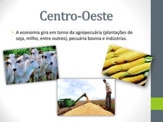 Centro-Oeste
• A economia gira em torno da agropecuária (plantações de
soja, milho, entre outros), pecuária bovina e indústrias.
 