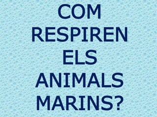 COM
RESPIREN
ELS
ANIMALS
MARINS?
 
