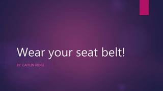 Wear your seat belt!
BY: CAITLIN RIDGE
 