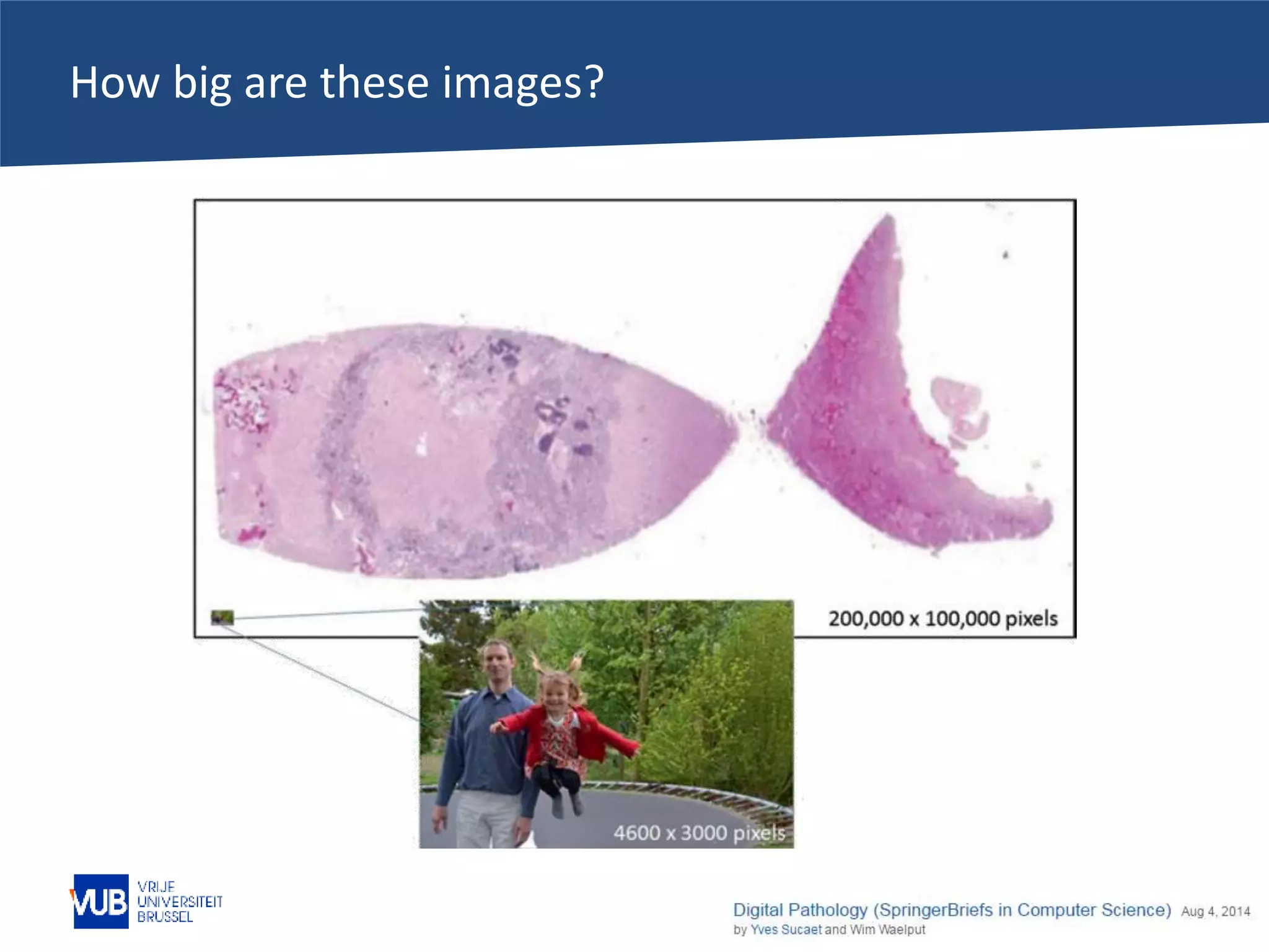 14-11-2016 pag. 14
How big are these images?
 