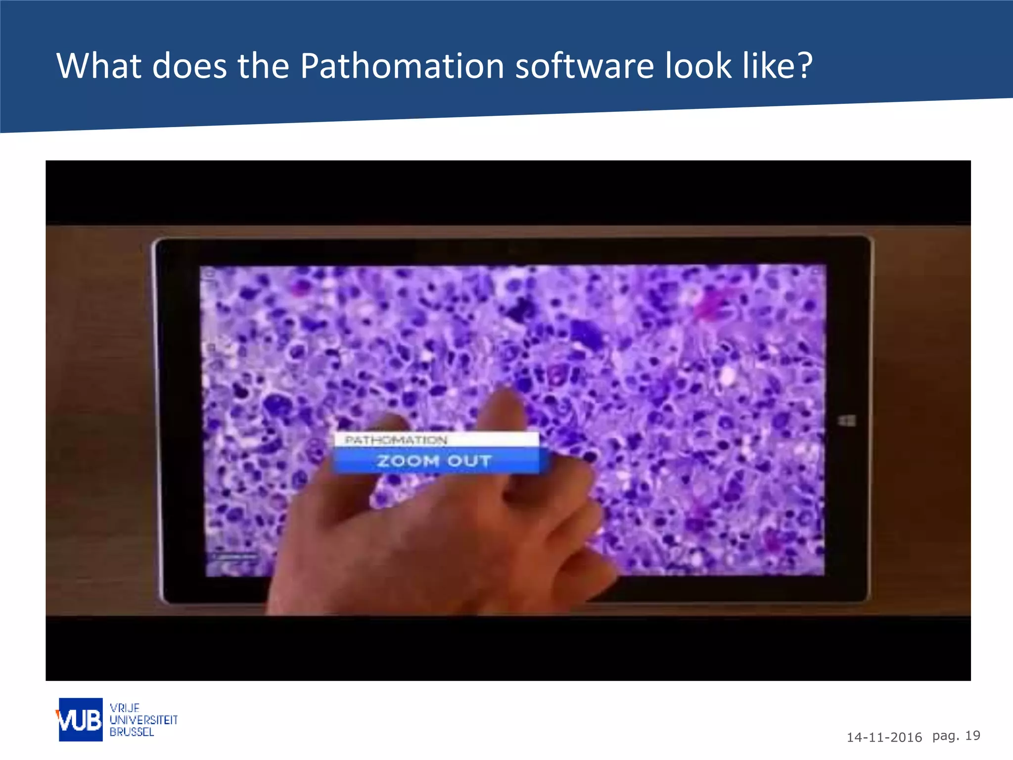 14-11-2016 pag. 19
What does the Pathomation software look like?
 