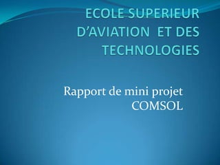 Rapport de mini projet
            COMSOL
 