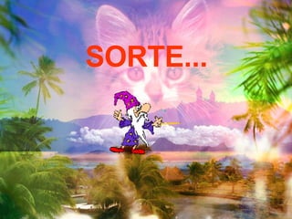 SORTE... 