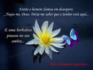 Então o homem clamou em desespero: _Toque-me, Deus. Deixe-me saber que o Senhor está aqui... Mas o homem a espantou... E uma borboleta pousou no seu ombro... 