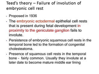 Teed’s theory – Failure of involution of
embryonic cell rest
⦁ Proposed in 1936
⦁ The embryonic ectodermal epithelial cell rests
that is present during fetal development in
proximity to the geniculate ganglion fails to
involute.
⦁ Persistence of embryonic squamous cell rests in the
temporal bone led to the formation of congenital
cholesteatoma.
⦁ Presence of squamous cell rests in the temporal
bone – fairly common. Usually they involute at a
later date to become mature middle ear lining
 