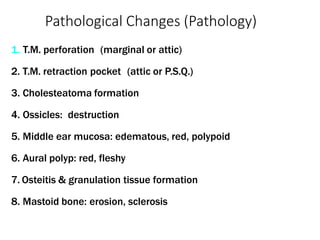 Pathological Changes (Pathology)
1. T.M. perforation (marginal or attic)
2. T.M. retraction pocket (attic or P.S.Q.)
3. Cholesteatoma formation
4. Ossicles: destruction
5. Middle ear mucosa: edematous, red, polypoid
6. Aural polyp: red, fleshy
7. Osteitis & granulation tissue formation
8. Mastoid bone: erosion, sclerosis
 