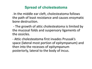Spread of cholesteatoma
- In the middle ear cleft, cholesteatoma follows
the path of least resistance and causes enzymatic
bone destruction.
- The growth of attic cholesteatoma is limited by
the mucosal folds and suspensory ligaments of
the ossicles.
- Attic cholesteatoma first invades Prussak’s
space (lateral most portion of epitympanum) and
then into the recesses of epitympanum
posteriorly, lateral to the body of incus.
 