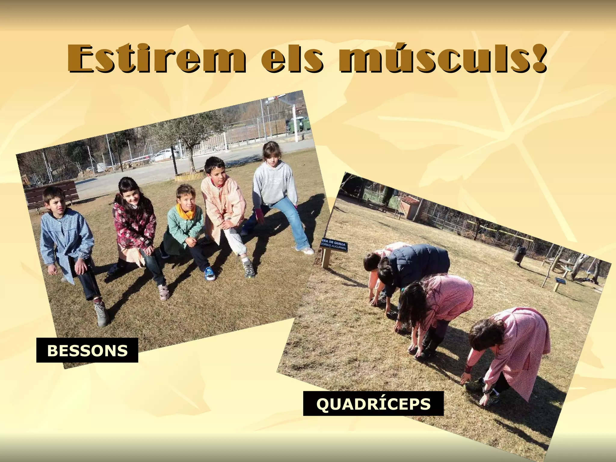 Estirem els músculs! BESSONS QUADRÍCEPS 