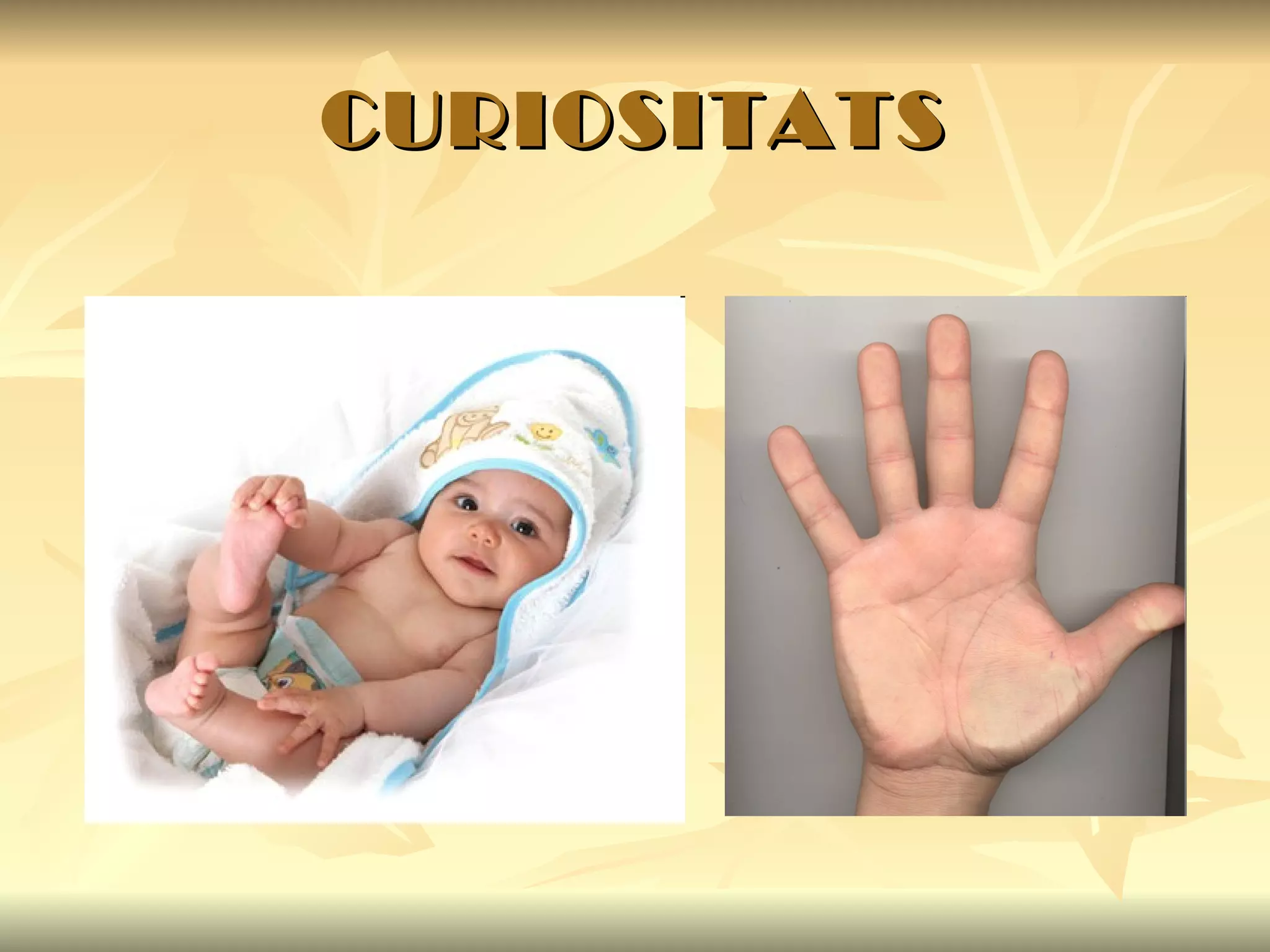 CURIOSITATS 