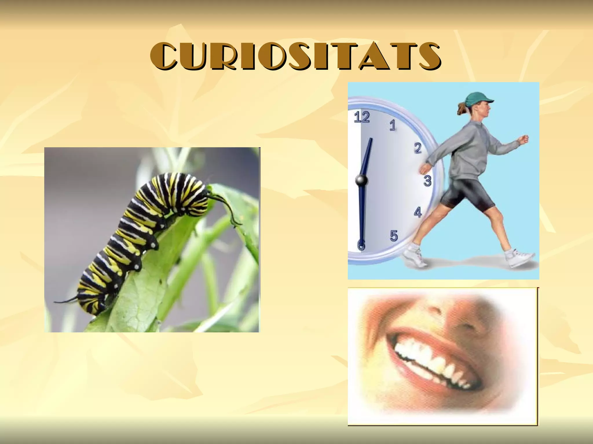 CURIOSITATS 