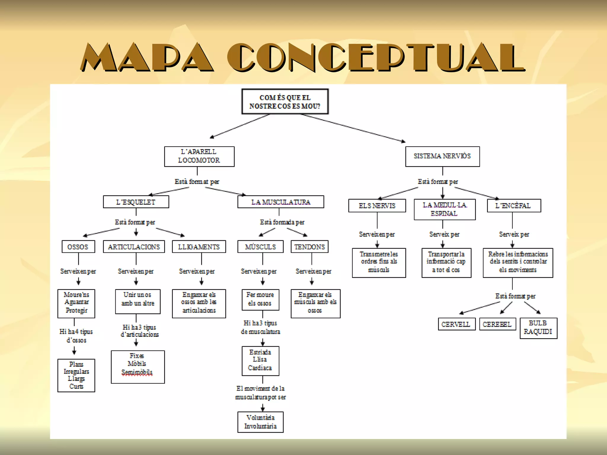 MAPA CONCEPTUAL 
