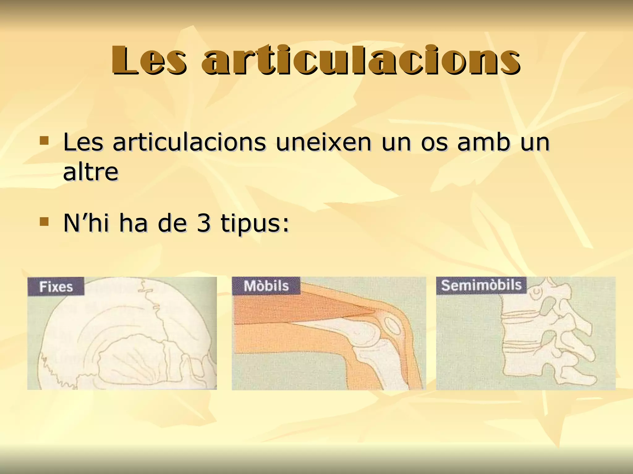 Les articulacions Les articulacions uneixen un os amb un altre N’hi ha de 3 tipus: 