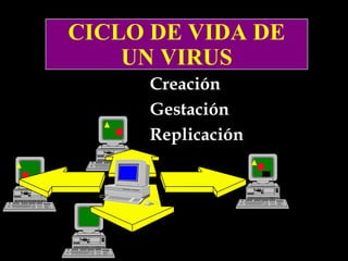 CICLO DE VIDA DE
CICLO DE VIDA DE
UN VIRUS
UN VIRUS
Creación
Gestación
Replicación

 