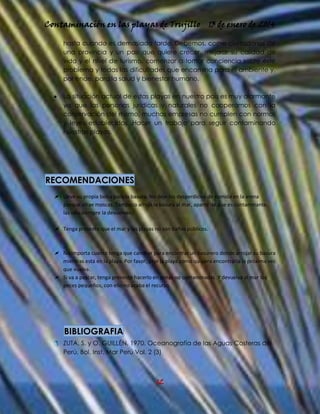 Contaminación en las playas de Trujillo

13 de enero de 2014

hasta cuando es demasiado tarde. Debemos, como ciudadanos de
una provincia y un país que quiere crecer, mejorar su calidad de
vida y el nivel de turismo, comenzar a tomar conciencia sobre éste
problema y todas las dificultades que encamina para el ambiente y,
por ende, para la salud y bienestar humano.
La situación actual de estas playas en nuestro país es muy alarmante
ya que las personas jurídicas y naturales no cooperamos con la
conservación del mismo, muchas empresas no cumplen con normas
y leyes establecidas. Hacer un trabajo para seguir contaminando
nuestras playas.

RECOMENDACIONES
 Lleve su propia bolsa para la basura. No deje los desperdicios de comida en la arena
porque atrae moscas. Tampoco arroje la basura al mar, aparte de que es contaminante,
las olas siempre la devuelven.
 Tenga presente que el mar y las playas no son baños públicos.

 No importa cuanto tenga que caminar para encontrar un basurero donde arrojar su basura
mientras está en la playa. Por favor, deje la playa como quisiera encontrarla la próxima vez
que vuelva.
 Si va a pescar, tenga presente hacerlo en zonas no contaminadas. Y devuelva al mar los
peces pequeños, con ello no acaba el recurso.

BIBLIOGRAFIA
 ZUTA, S. y O. GUILLÉN, 1970. Oceanografía de las Aguas Costeras del
Perú, Bol. Inst. Mar Perú Vol. 2 (3)

12

 