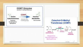 24-09-2020ABHIJITH SP CVAS POOKODE 8
 