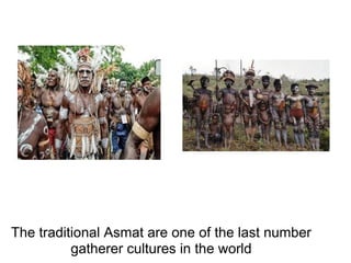 The traditional Asmat are one of the last number
          gatherer cultures in the world
 