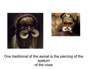 One traditional of the asmat is the piercing of the
                      spetum
                    of the nose
 