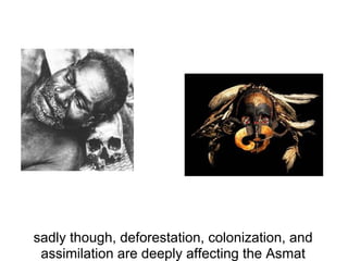 sadly though, deforestation, colonization, and
 assimilation are deeply affecting the Asmat
 