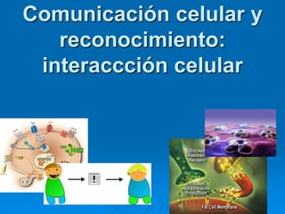 Comunicación celular y
reconocimiento:
interaccción celular
1
 