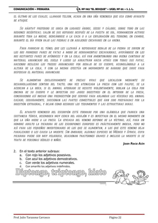 COMUNICACIÓN – PRIMARIA                              I. E. Nº 1182 “EL BOSQUE” – UGEL Nº 05 – S. J. L.

el último de los cuales, llamado telson, acaba en una uña venenosa que usa como aparato
de ataque.

    Su hábitat preferido se ubica en lugares áridos, secos y cálidos, sobre todo en las
regiones desérticas; salen de sus refugios después de la puesta de sol, permanecen activos
durante toda la noche, dedicándose a la caza o a la exploración del terreno; en cambio,
durante el día viven bajo las piedras o en agujeros excavados en la arena.

     Para fabricar el túnel que les llevará a refugiarse debajo de la piedra se sirven de
los dos primeros pares de patas a modo de herramientas excavadoras, apoyándose en los
dos restantes pares de apéndices y en la cola; así van amontonando una buena cantidad de
material arrancado del suelo y luego lo arrastran hacia atrás con todas sus patas,
haciendo deslizar los trozos arrancados por debajo de su cuerpo, acumulándolo a la
altura de la cola, y con la misma efectúa un movimiento de barrido que sirve para
dispersar el material arrancado.

     Se alimentan exclusivamente de presas vivas que localizan mediante su
desarrolladísimo sentido del tacto; una vez atenazada la presa con los palpos, se la
acercan a la boca; si el animal aferrado se resiste violentamente, doblan la cola por
encima de su cuerpo y le inyectan sus jugos digestivos en el interior de la presa,
consiguiendo así iniciar una predigestión que servirá para ablandar las vísceras del animal
cazado; seguidamente, succionan las partes comestibles que han sido preparadas por la
digestión extraoral, y dejan como residuos los tegumentos y las estructuras duras.

    El aparato venenoso del escorpión está formado por una glándula que fabrica una
sustancia tóxica, desemboca muy cerca del aguijón y es inyectada en el mismo momento en
que la uña hiere a la presa. La eficacia del veneno depende de la víctima; así, para un
hombre adulto la picadura de los escorpiones europeos es prácticamente inocua, pero no
así para los pequeños invertebrados de los que se alimentan, a los que este veneno deja
paralizados o les causa la muerte. Sin embargo, algunas especies de México y África, cuya
picadura puede ser muy peligrosa, ocasionan trastornos graves e incluso la muerte si se
trata de personas débiles o niños.
                                                                           Joan Roca Acin

2.   En   el texto anterior subraya:
     a.    Con rojo los adjetivos posesivos.
     b.    Con azul los adjetivos demostrativos.
     c.    Con verde los adjetivos numerales.
     d.    Con amarillo los adjetivos indefinidos.




Prof. Julio Tarazona Carrasco                                                    Página 22
 