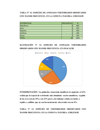 TABLA Nº 12: ESPECIES DE ANIMALES VERTEBRADOS OBSERVADOS
CON MAYOR FRECUENCIA EN LA COMUNA TSÁCHILA CHIGUILPE
ILUSTRACIÓN Nº 12: ESPECIES DE ANIMALES VERTEBRADOS
OBSERVADOS CON MAYOR FRECUENCIA EN OYACACHI
INTERPRETACIÓN: La población encuestada manifiesta lo siguiente: el 43%
señala que la especie de vertebrado más abundante son los mamíferos, seguido
de las aves con un 34% y un 23% peces, sin embargo señala en cuanto a
reptiles y anfibios que no son frecuentemente observados con un 0%.
TABLA Nº 13: ESPECIES DE VERTEBRADOS OBSERVADOS CON
MAYOR FRECUENCIA EN LA COMUNA TSÁCHILA CHIGUILPE
ALTERNATIVAS FRECUENCIAS %
Mamíferos 8 40%
Aves 5 25%
Reptiles 2 10%
Anfibios 2 10%
Peces 3 15%
TOTAL 20 100%
40%
25%
10%
10%
15%
Mamíferos Aves Reptiles Anfibios Peces
 