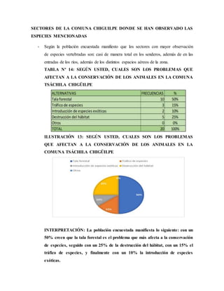 SECTORES DE LA COMUNA CHIGUILPE DONDE SE HAN OBSERVADO LAS
ESPECIES MENCIONADAS
- Según la población encuestada manifiesto que los sectores con mayor observación
de especies vertebradas son: casi de manera total en los senderos, además de en las
entradas de los ríos, además de los distintos espacios aéreos de la zona.
TABLA Nº 14: SEGÚN USTED, CUALES SON LOS PROBLEMAS QUE
AFECTAN A LA CONSERVACIÓN DE LOS ANIMALES EN LA COMUNA
TSÁCHILA CHIGÜILPE
ILUSTRACIÓN 13: SEGÚN USTED, CUALES SON LOS PROBLEMAS
QUE AFECTAN A LA CONSERVACIÓN DE LOS ANIMALES EN LA
COMUNA TSÁCHILA CHIGÜILPE
INTERPRETACIÓN: La población encuestada manifiesta lo siguiente: con un
50% creen que la tala forestal es el problema que más afecta a la conservación
de especies, seguido con un 25% de la destrucción del hábitat, con un 15% el
tráfico de especies, y finalmente con un 10% la introducción de especies
exóticas.
 