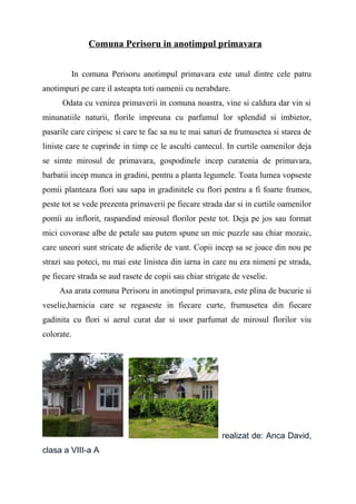 Comuna Perisoru in anotimpul primavara
In comuna Perisoru anotimpul primavara este unul dintre cele patru
anotimpuri pe care il asteapta toti oamenii cu nerabdare.
Odata cu venirea primaverii in comuna noastra, vine si caldura dar vin si
minunatiile naturii, florile impreuna cu parfumul lor splendid si imbietor,
pasarile care ciripesc si care te fac sa nu te mai saturi de frumusetea si starea de
liniste care te cuprinde in timp ce le asculti cantecul. In curtile oamenilor deja
se simte mirosul de primavara, gospodinele incep curatenia de primavara,
barbatii incep munca in gradini, pentru a planta legumele. Toata lumea vopseste
pomii planteaza flori sau sapa in gradinitele cu flori pentru a fi foarte frumos,
peste tot se vede prezenta primaverii pe fiecare strada dar si in curtile oamenilor
pomii au inflorit, raspandind mirosul florilor peste tot. Deja pe jos sau format
mici covorase albe de petale sau putem spune un mic puzzle sau chiar mozaic,
care uneori sunt stricate de adierile de vant. Copii incep sa se joace din nou pe
strazi sau poteci, nu mai este linistea din iarna in care nu era nimeni pe strada,
pe fiecare strada se aud rasete de copii sau chiar strigate de veselie.
Asa arata comuna Perisoru in anotimpul primavara, este plina de bucurie si
veselie,harnicia care se regaseste in fiecare curte, frumusetea din fiecare
gadinita cu flori si aerul curat dar si usor parfumat de mirosul florilor viu
colorate.
realizat de: Anca David,
clasa a VIII-a A
 