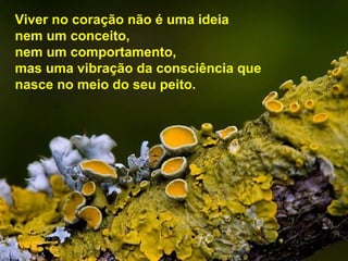 Viver no coração não é uma ideia
nem um conceito,
nem um comportamento,
mas uma vibração da consciência que
nasce no meio do seu peito.

 