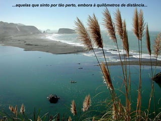 ...aquelas que sinto por tão perto, embora à quilômetros de distância...

 