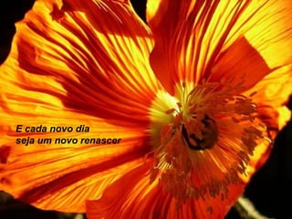 E cada novo dia
seja um novo renascer

 