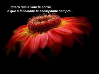 …quero que a vida te sorria,
e que a felicidade te acompanhe sempre...

 