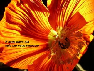 E cada novo dia
seja um novo renascer

 