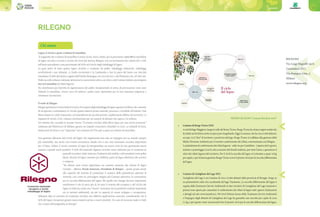 Consorzi24 25Consorzi
RILEGNO
Legno, il riciclo a quasi 2 milioni di tonnellate.
Il traguardo dei 2 milioni di tonnellate è ormai vicino. Sono, infatti, per la precisione 1.932.583 le tonnellate
di legno raccolto e avviato a riciclo nel 2018 dal sistema Rilegno, con un incremento dei volumi del 7,74%
sull’anno precedente e una percentuale del 63% nel riciclo degli imballaggi di legno.
La gran parte di tutto questo legno riciclato è costituito da pallet, imballaggi industriali, imballaggi
ortofrutticoli e per alimenti. A livello territoriale è la Lombardia a fare la parte del leone con 504.290
tonnellate (il 26% del totale), seguita dall’Emilia-Romagna con 242.504 ton. e dal Piemonte con 197.602 ton.
Dalla raccolta urbana, realizzata attraverso le convenzioni attive con oltre 4.500 Comuni italiani, provengono
642.470 tonnellate di rifiuti legnosi.
Da sottolineare poi l’attività di rigenerazione dei pallet, fondamentale in ottica di prevenzione: sono state
780mila le tonnellate, ovvero circa 56 milioni i pallet usati, ripristinati per la loro funzione originaria e
reimmessi sul mercato.
Il ruolo di Rilegno
RilegnogarantisceintuttaItaliailricicloeilrecuperodegliimballaggidilegnoegestiscelafilieracheconsente
di recuperare e reimmettere in circolo questa materia prima naturale, preziosa e riciclabile all’infinito. Una
filiera basata su 2.000 consorziati, 416 piattaforme di raccolta private, capillarmente diffuse sul territorio, 14
impianti di riciclo, 4.541 comuni convenzionati per un numero di abitanti che supera i 42 milioni.
Un sistema che, secondo la recente ricerca “Il sistema circolare della filiera legno per una nuova economia”
realizzata dal Politecnico di Milano, genera un impatto economico stimabile in circa 1,4 miliardi di Euro,
6mila posti di lavoro e un “risparmio” nel consumo di CO2 pari a quasi un milione di tonnellate.
Una gestione efficiente del riciclo del legno che rappresenta non solo un impegno per un mondo sempre
più sostenibile, ma anche una risorsa economica, dando vita a una vera economia circolare importante
per il Paese. Infatti, il riciclo consente al legno di intraprendere un nuovo ciclo di vita, generando nuova
materia e quindi nuovi prodotti. Il 95% del materiale legnoso riciclato viene utilizzato per la creazione di
pannelli truciolari, linfa vitale per l’industria del mobile, e altri prodotti come pallet
block, blocchi di legno cemento per l’edilizia, pasta di legno destinata alle cartiere
e compost.
“Da diversi anni ormai registriamo un costante aumento dei volumi di legno
riciclato - afferma Nicola Semeraro, Presidente di Rilegno - questo grazie anche
alla capacità del sistema di aumentare il numero delle piattaforme aderenti al
network, così come di coinvolgere sempre più Comuni attraverso le convenzioni
per la raccolta differenziata del legno. Ma quello che ritengo davvero importante
sottolineare è che in poco più di 20 anni il sistema del recupero e del riciclo del
legno in Italia ha creato una “nuova” economia che ha prodotto risultati importanti
sia in termini ambientali, sia per la capacità di creare sviluppo e occupazione.
Abbiamo dato al concetto di economia circolare una effettiva applicazione concreta, considerando che il
95% del legno recuperato genera nuova materia prima o nuovi prodotti. Un caso di successo made in Italy
che ci pone all’avanguardia in Europa”.
RILEGNO
Via Luigi Negrelli 24/A
Cesenatico (FC)
Via Pompeo Litta, 5
Milano
www.rilegno.org
PREMIO RILEGNO “Comuni Ricicloni 2019”
•	 Comune di Borgo Ticino (NO)
AsuddellagoMaggiore,lungolavalledelfiumeTicino,BorgoTicinohachiareoriginimedievali;
fuinfattiunfortilizioerettoinepocapre-longobarda.Oggiilcomune,chehacirca5.000abitanti,
occupa 13.27 Km² di territorio a pochi km dal lago. Borgo Ticino si è affidato alla gestione della
Medio Novarese Ambiente per il corretto conferimento dei rifiuti, convenzionata con Rilegno.
Lapiattaformadiconferimentodeirifiutilegnosi-sullaviaperCastelletto-èapertatuttiigiorni,
mattino e pomeriggio (con la sola eccezione del lunedì mattina), per tutto l’anno, e garantisce il
ritiro dei rifiuti legnosi del territorio. Per il 2018 la raccolta del legno si è attestata a quasi 19 kg
procapite,eperlabuonagestioneBorgoTicinoriceveilpremio2019perlaraccoltadifferenziata
del legno.
•	 Comune di Castiglione del Lago (PG)
Castiglione del Lago è un Comune di circa 15.000 abitanti della provincia di Perugia. Sorge su
un promontorio sulla riva occidentale del lago Trasimeno. La raccolta differenziata del legno è
seguita dalla Trasimeno Servizi Ambientali: le due riciclerie di Castiglione del Lago (stazione e
pineta) sono aperte per consentire il conferimento dei rifiuti di legno tutti i giorni (indicazioni
e dettagli sul sito www.tsaweb.eu). Nel 2018 l’ottimo lavoro della Trasimeno Servizi Ambientali
e l’impegno degli abitanti di Castiglione del Lago ha garantito una raccolta pro capite di circa
21 kg, e per questo viene riconosciuto loro il premio 2019 per la raccolta differenziata del legno.
Chi siamo
 