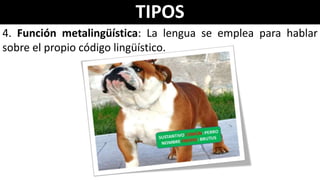 TIPOS
4. Función metalingüística: La lengua se emplea para hablar
sobre el propio código lingüístico.
 