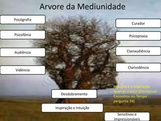 Arvore da Mediunidade 
Curador 
Clariaudiência 
Sensitivos e 
Impressionáveis 
Desdobramento 
Inspiração e Intuição 
Psicógrafia 
Audiência 
Vidência 
Clarividência 
Psicofônia 
Psicopraxia 
Intuição é a inspiração 
quando cresce (Emmanuel - 
Encontros no Tempo - 
pergunta 34) 
 