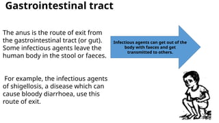 Gastrointestinal tract
Infectious agents can get out of the
body with faeces and get
transmitted to others.
The anus is the route of exit from
the gastrointestinal tract (or gut).
Some infectious agents leave the
human body in the stool or faeces.
For example, the infectious agents
of shigellosis, a disease which can
cause bloody diarrhoea, use this
route of exit.
 