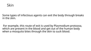 Skin
Some types of infectious agents can exit the body through breaks
in the skin.
For example, this route of exit is used by Plasmodium protozoa,
which are present in the blood and get out of the human body
when a mosquito bites through the skin to suck blood.
 