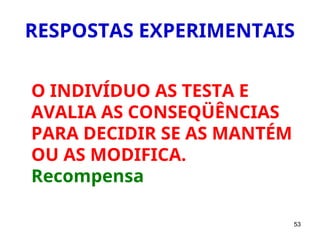 53
RESPOSTAS EXPERIMENTAIS
O INDIVÍDUO AS TESTA E
AVALIA AS CONSEQÜÊNCIAS
PARA DECIDIR SE AS MANTÉM
OU AS MODIFICA.
Recompensa
 