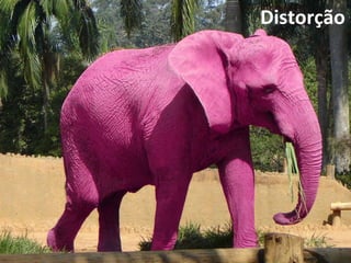 Distorção	
  
 